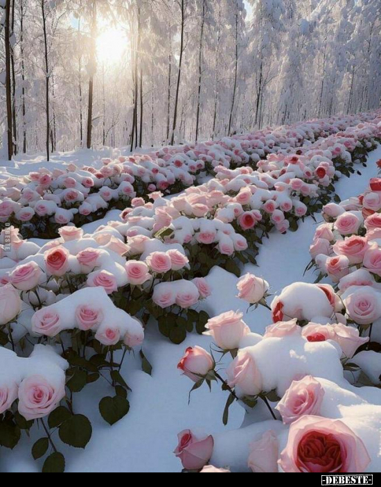  - Lustige Bilder | DEBESTE.de