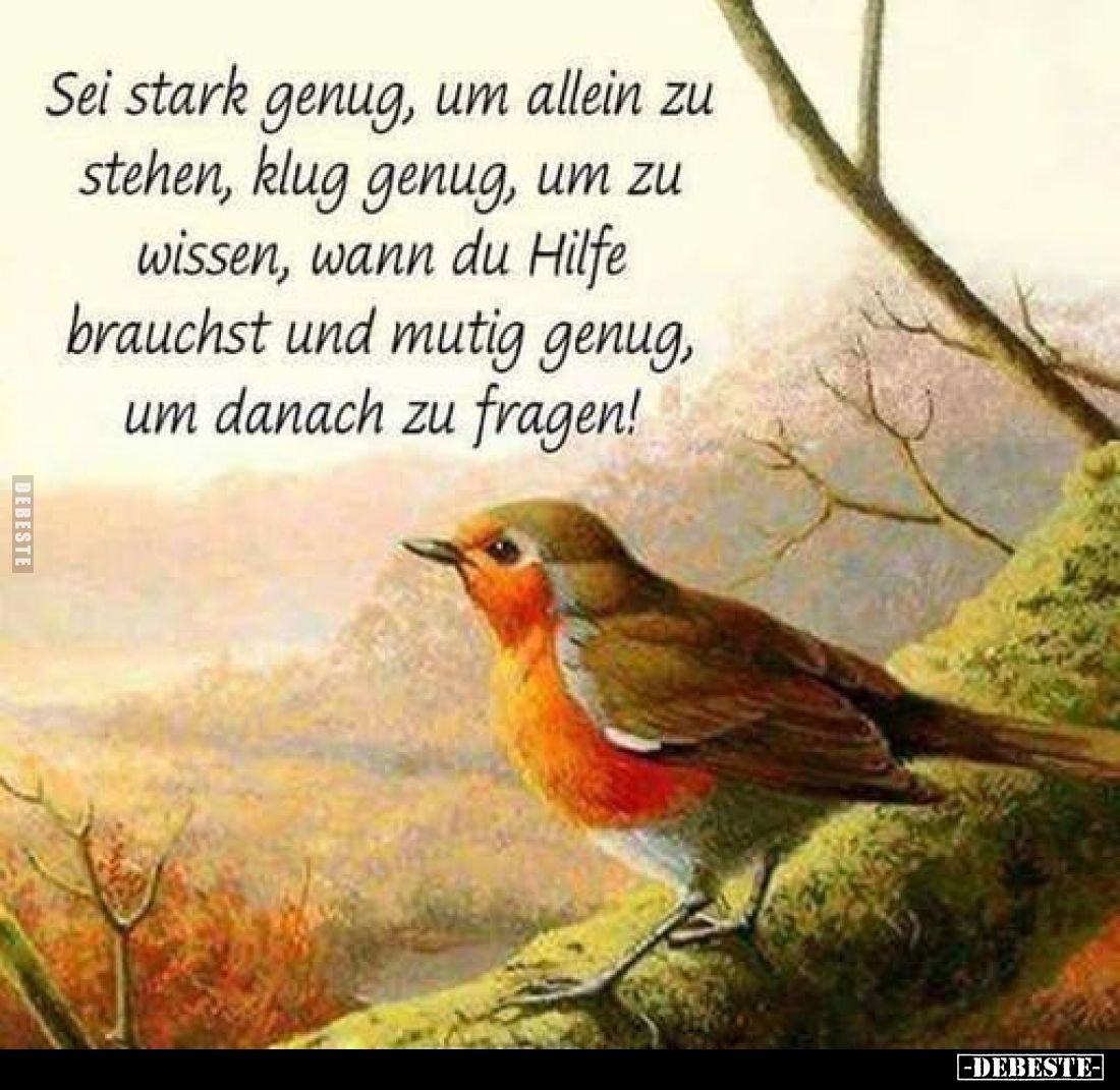 Sei stark genug, um allein zu stehen, 
klug genug, um zu wissen, wann du Hilfe brauchst 
und mutig genug, um danach zu frag...
