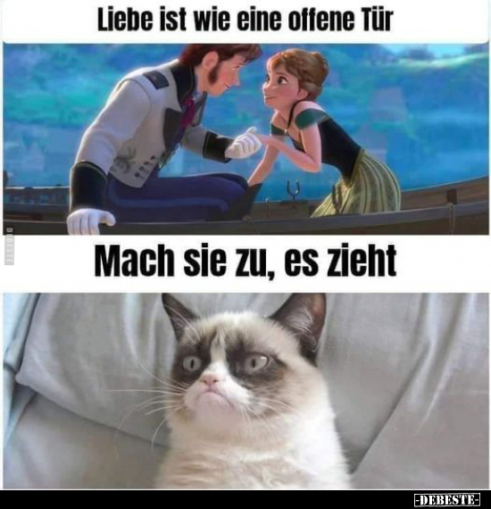 Liebe ist wie eine offene Tür.. - Lustige Bilder | DEBESTE.de