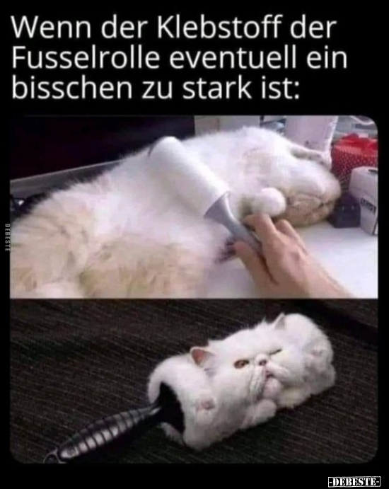 Wenn der Klebstoff der Fusselrolle eventuell ein bisschen.. - Lustige Bilder | DEBESTE.de