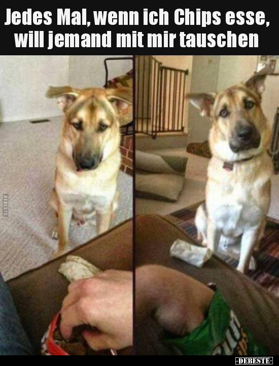 Jedes Mal, wenn ich Chips esse, will jemand mit mir.. - Lustige Bilder | DEBESTE.de