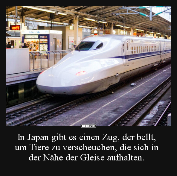 In Japan gibt es einen Zug, der bellt, um Tiere zu.. - Lustige Bilder | DEBESTE.de