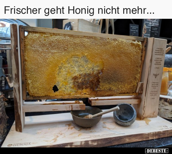 Frischer geht Honig nicht mehr... - Lustige Bilder | DEBESTE.de