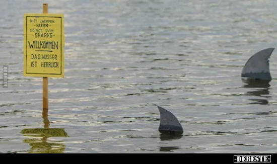 Nicht schwimmen. Sharks... - Lustige Bilder | DEBESTE.de