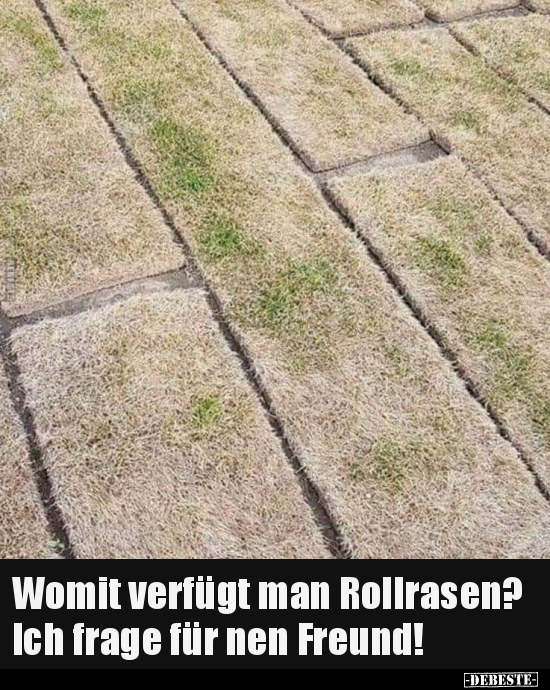 Womit verfügt man Rollrasen? Ich frage für nen Freund!..