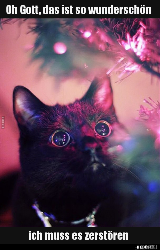 Oh Gott, das ist so wunderschön...