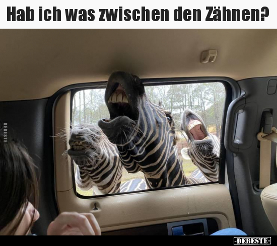 Hab ich was zwischen den Zähnen?..