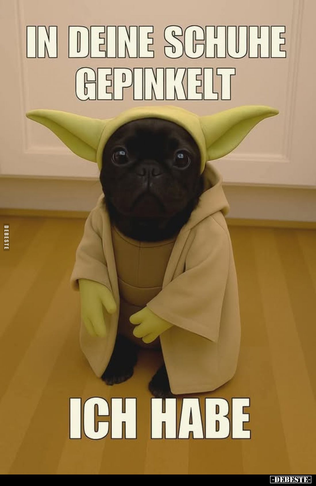 In deine Schuhe gepinkelt
ich habe.