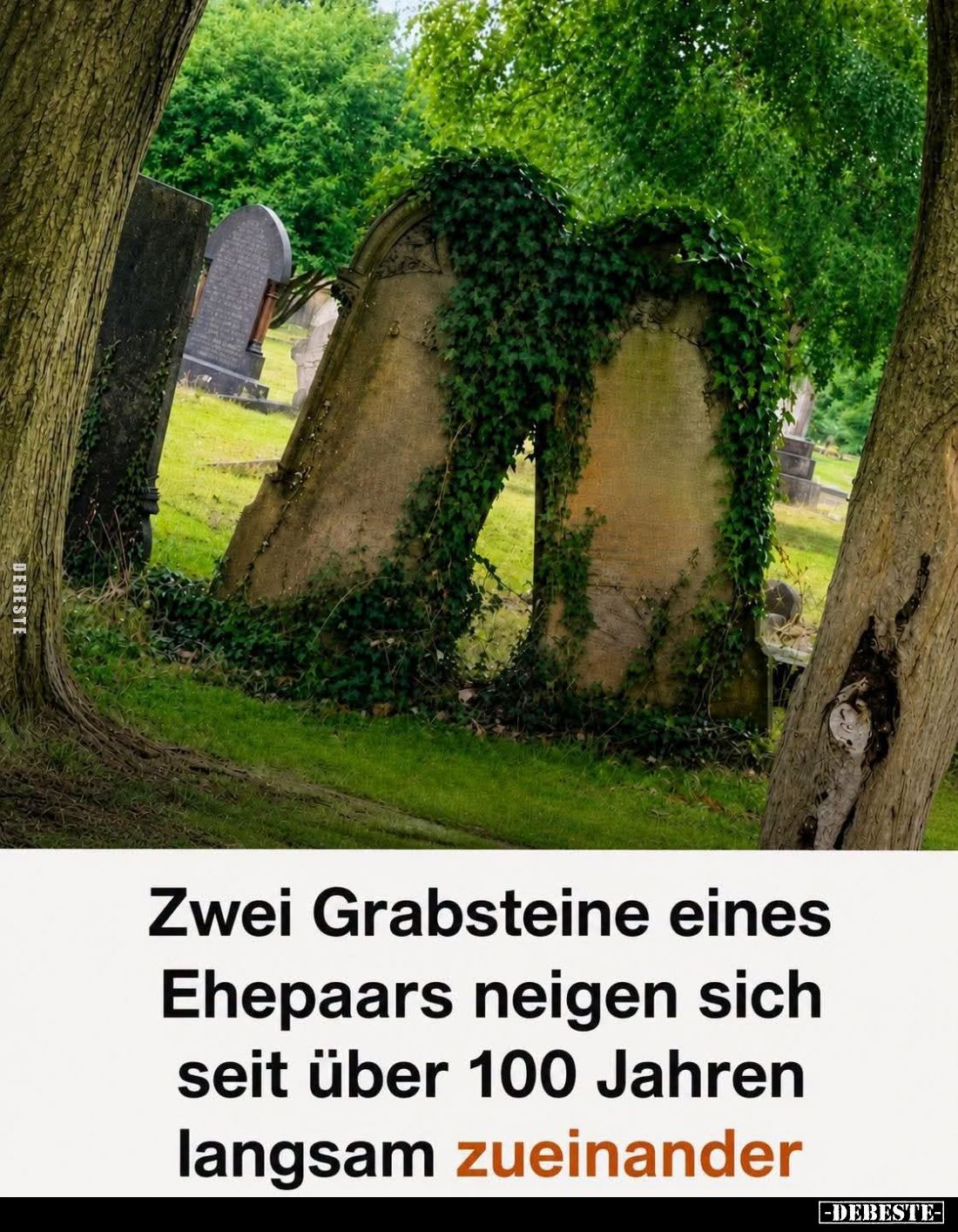 Zwei Grabsteine eines Ehepaars... - Lustige Bilder | DEBESTE.de