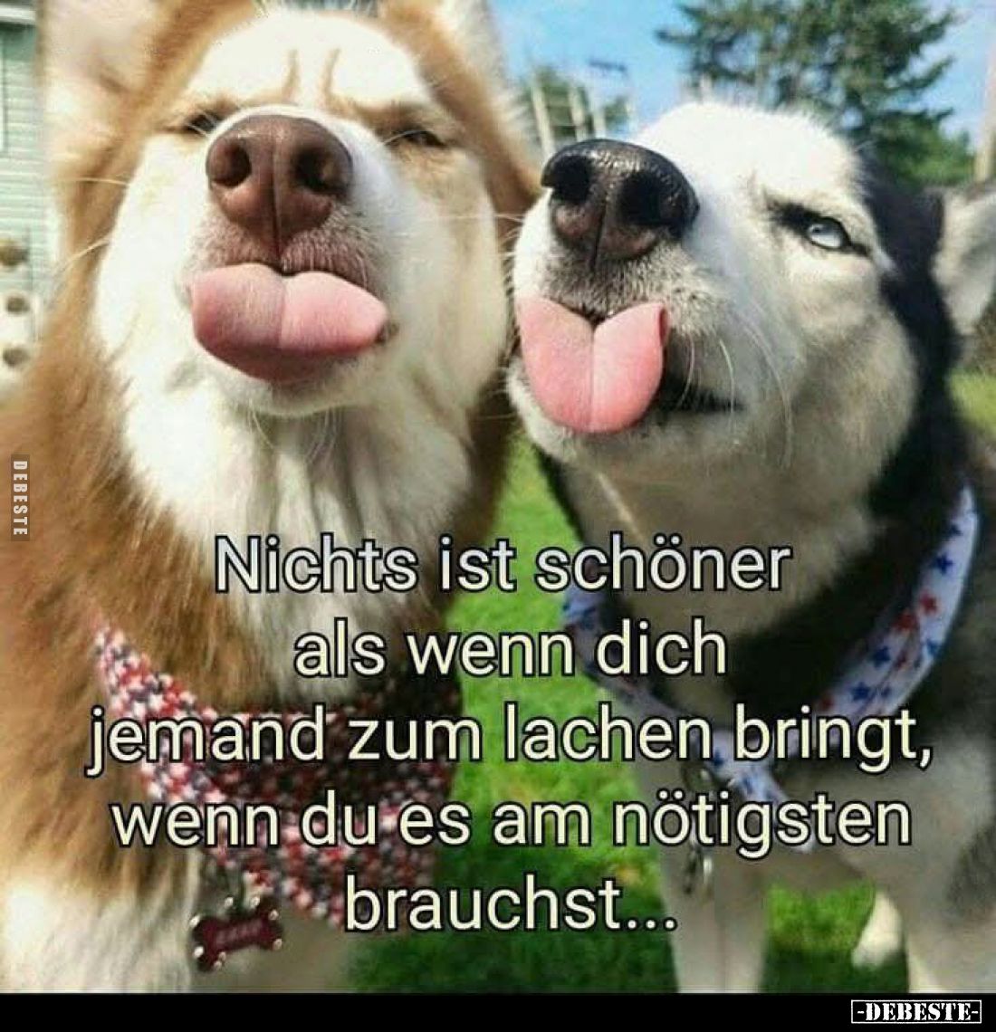 Nichts ist schöner als wenn dich jemand zum lachen bringt, wenn du es am nötigsten brauchst...