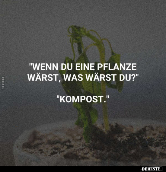 "Wenn du eine Pflanze wärst.." - Lustige Bilder | DEBESTE.de