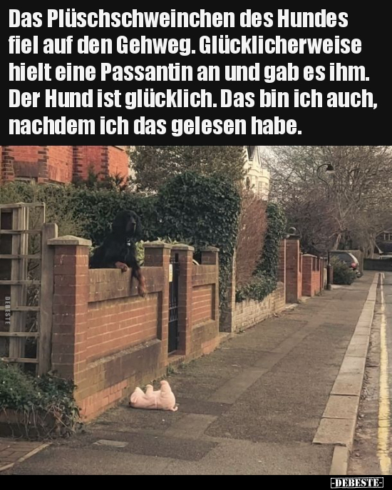 Das Plüschschweinchen des Hundes fiel auf den Gehweg... - Lustige Bilder | DEBESTE.de