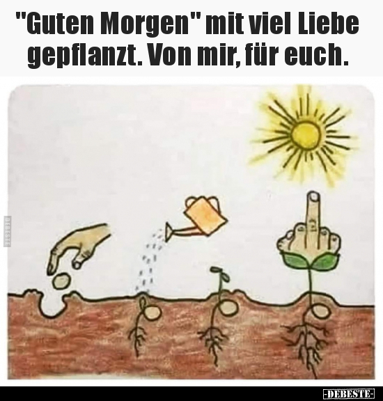 "Guten Morgen" mit viel Liebe gepflanzt. Von mir, für.. - Lustige Bilder | DEBESTE.de