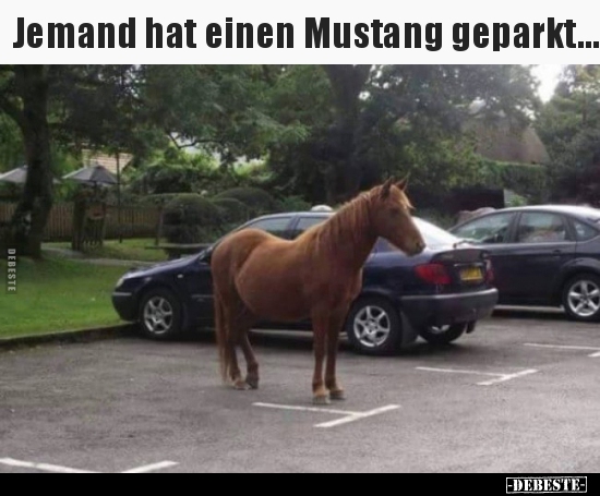 Jemand hat einen Mustang geparkt... - Lustige Bilder | DEBESTE.de