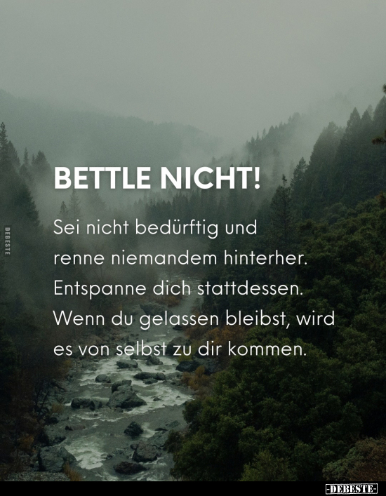 Bettle nicht!.. - Lustige Bilder | DEBESTE.de