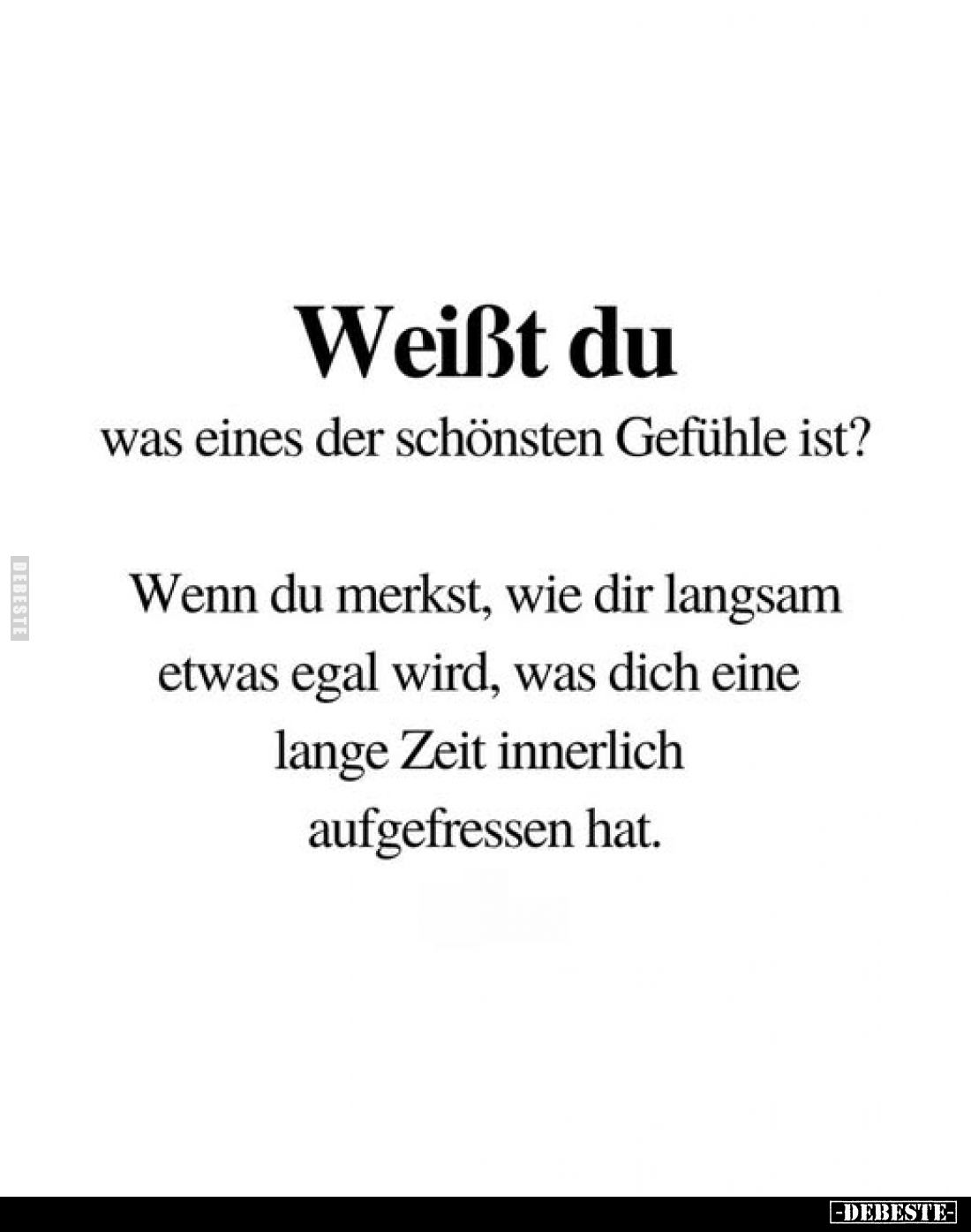 Weißt du
was eines der schönsten Gefühle ist?
Wenn du merkst, wie dir langsam etwas egal wird, was dich eine lange Zeit inn...