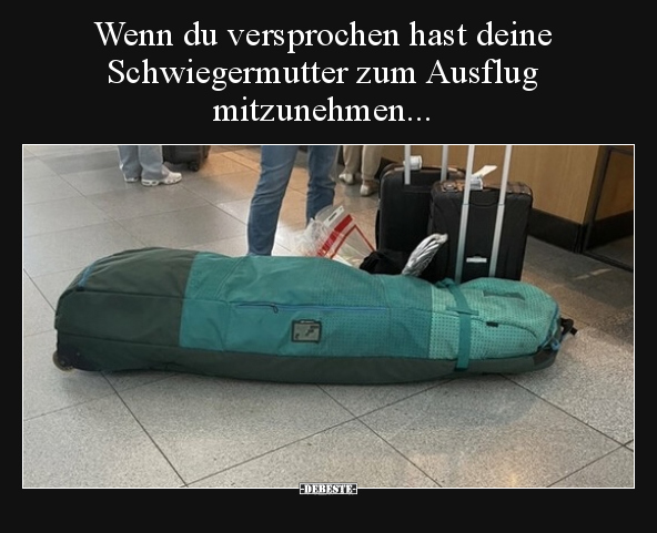 Wenn du versprochen hast deine Schwiegermutter zum Ausflug.. - Lustige Bilder | DEBESTE.de
