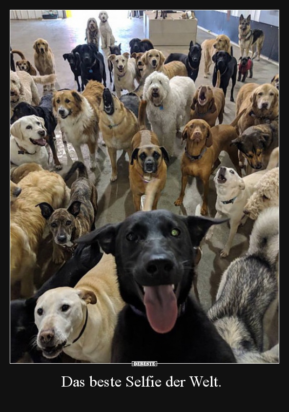 Das beste Selfie der Welt.