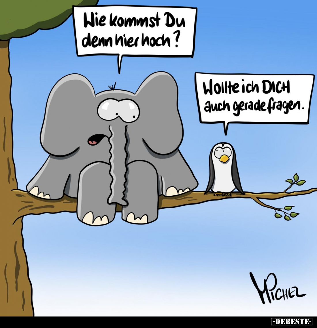 Wie kommst Du denn hier hoch? -
Wollte ich DICH auch gerade fragen.