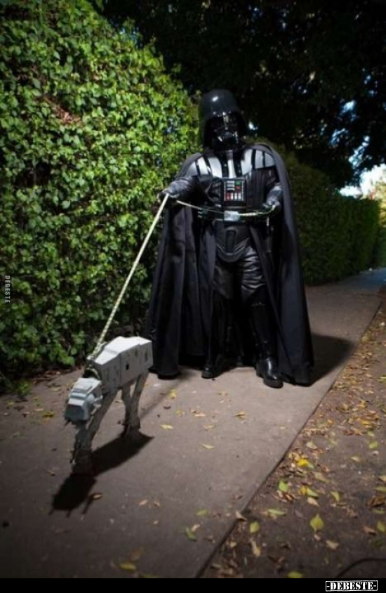  - Lustige Bilder | DEBESTE.de