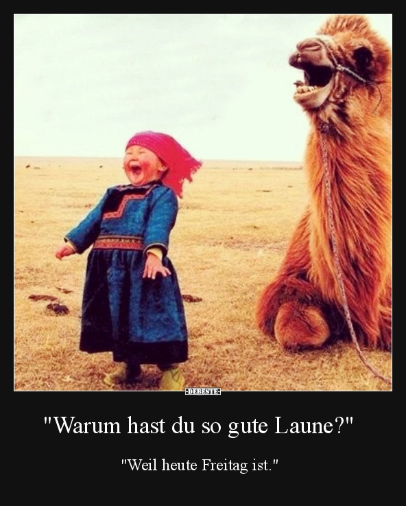 "Warum hast du so gute Laune?" - Lustige Bilder | DEBESTE.de