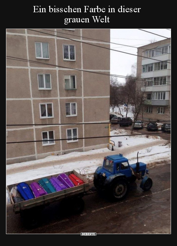 Ein bisschen Farbe in dieser grauen Welt..
