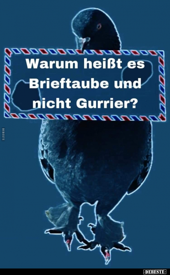 Warum heißt es Brieftaube und nicht Gurrier?.. - Lustige Bilder | DEBESTE.de