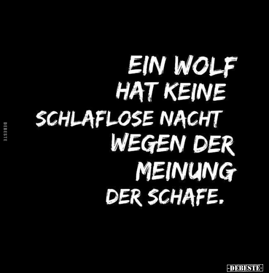Ein Wolf hat keine schlaflose Nacht wegen der Meinung der.. - Lustige Bilder | DEBESTE.de