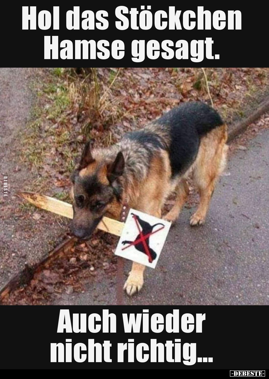 Hol das Stöckchen Hamse gesagt.
Auch wieder nicht richtig...