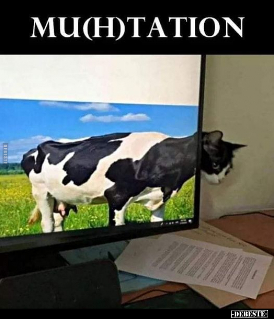 Mu(h)tation..