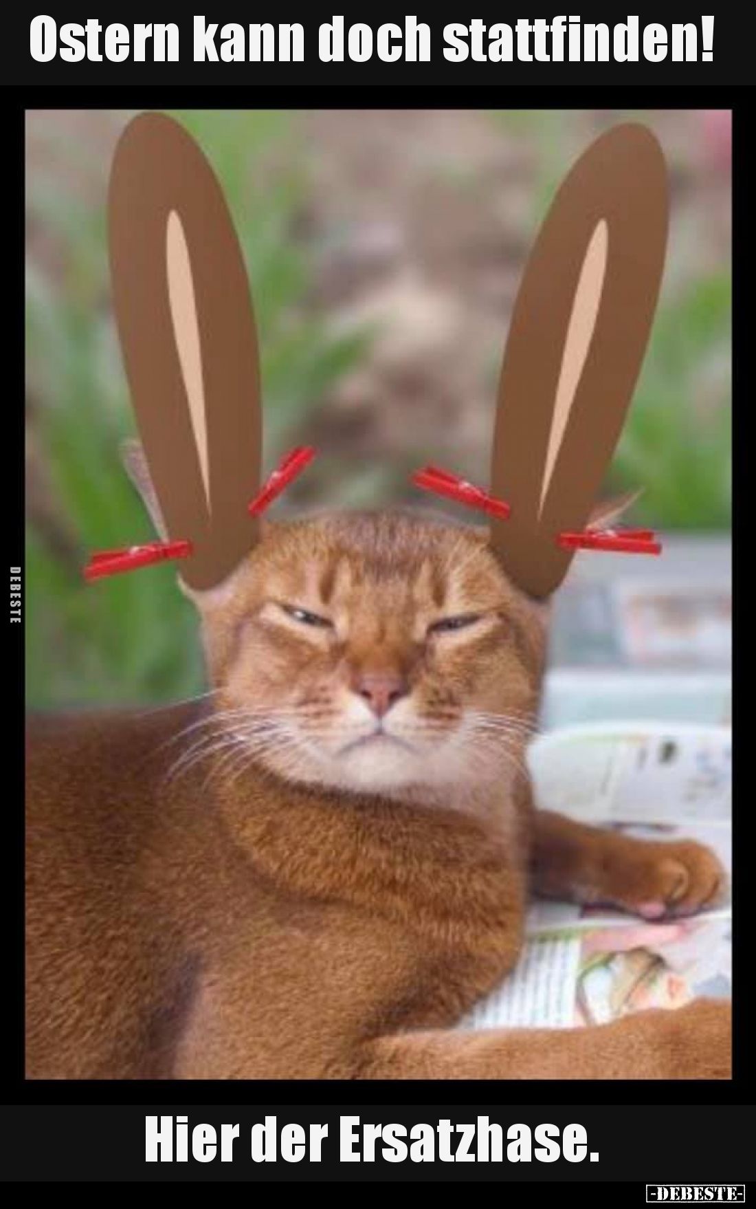 Ostern kann doch stattfinden!.... - Lustige Bilder | DEBESTE.de