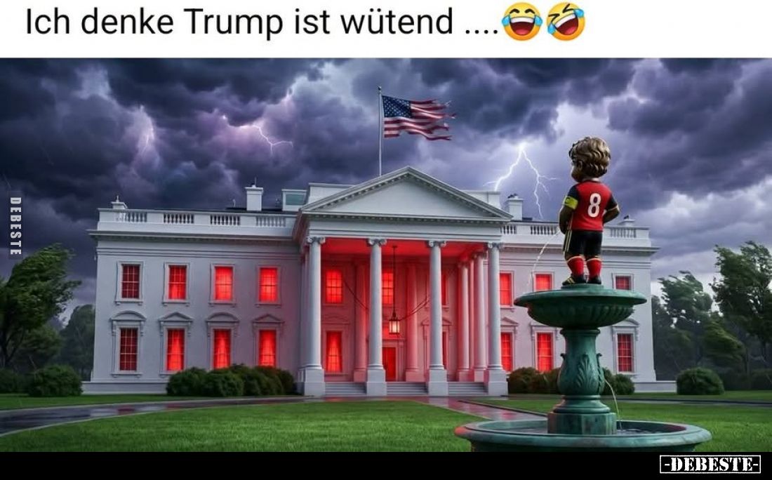 Ich denke Trump ist wütend.