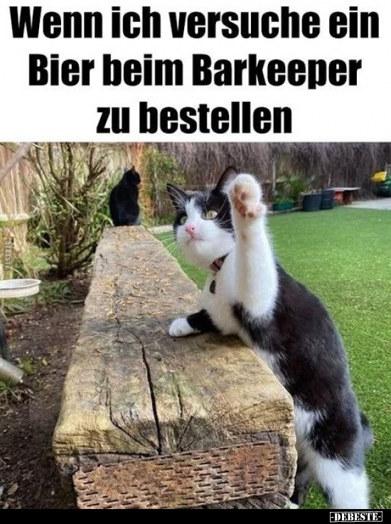 Wenn, Bier, Barkeeper