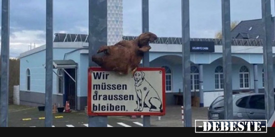  - Lustige Bilder | DEBESTE.de