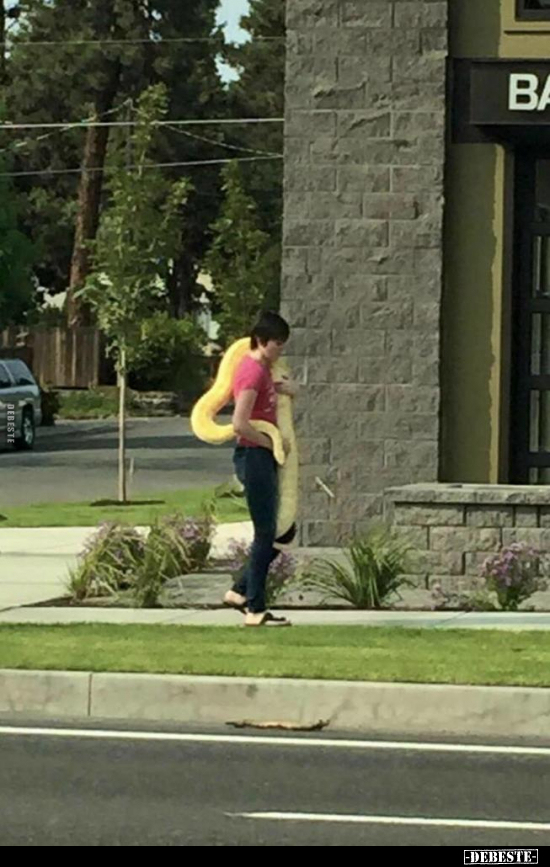  - Lustige Bilder | DEBESTE.de