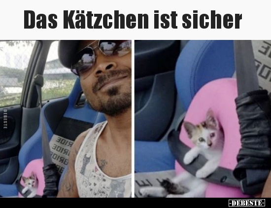 Das Kätzchen ist sicher.. - Lustige Bilder | DEBESTE.de