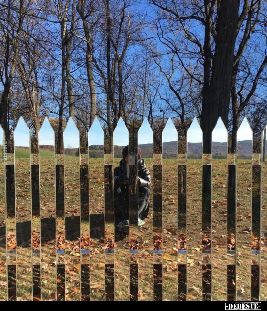  - Lustige Bilder | DEBESTE.de