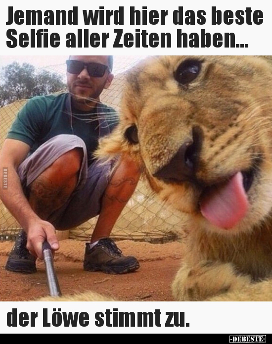 Jemand wird hier das beste Selfie aller Zeiten haben... - Lustige Bilder | DEBESTE.de