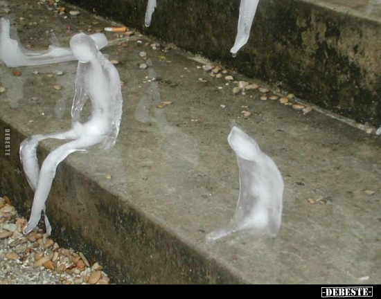  - Lustige Bilder | DEBESTE.de