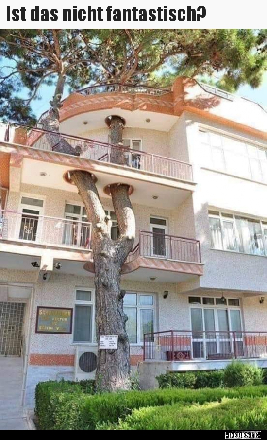 Ist das nicht fantastisch?..