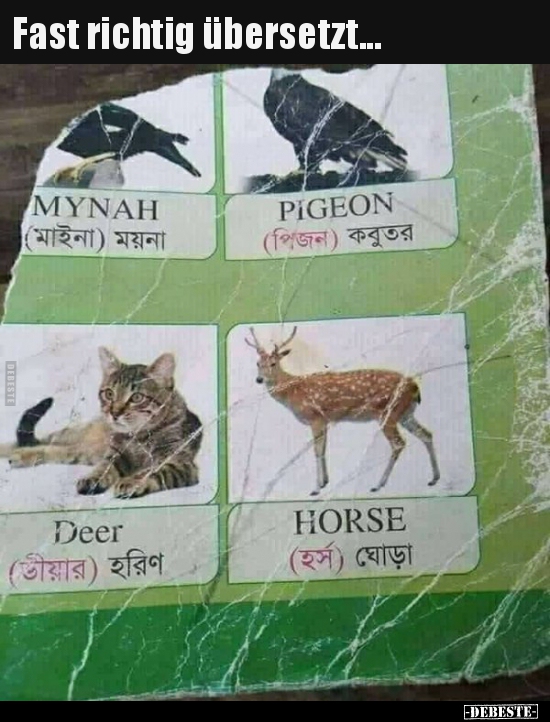 Fast richtig übersetzt...