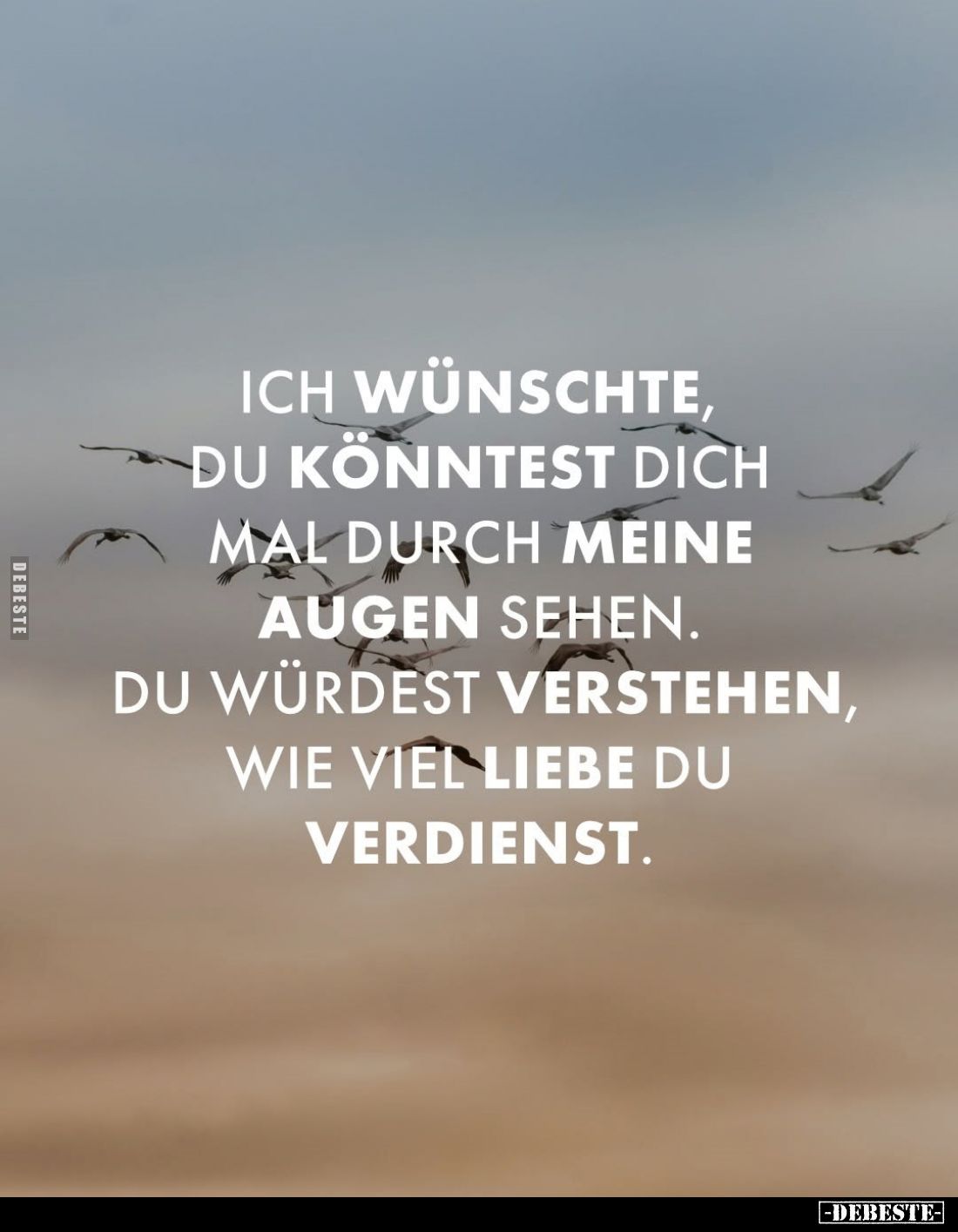 Ich wünschte, du könntest dich mal durch meine Augen sehen. Du würdest verstehen, wie viel Liebe du verdienst.