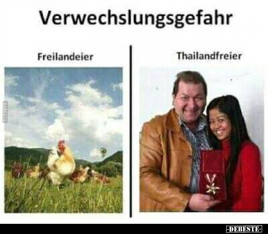 Verwechslungsgefahr: Freilandeier / Thailandfreier.. - Lustige Bilder | DEBESTE.de