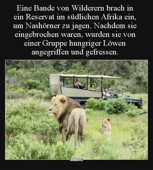 Eine Bande von Wilderern brach in ein Reservat im.. - Lustige Bilder | DEBESTE.de