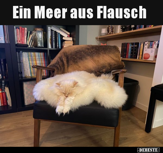 Ein Meer aus Flausch..