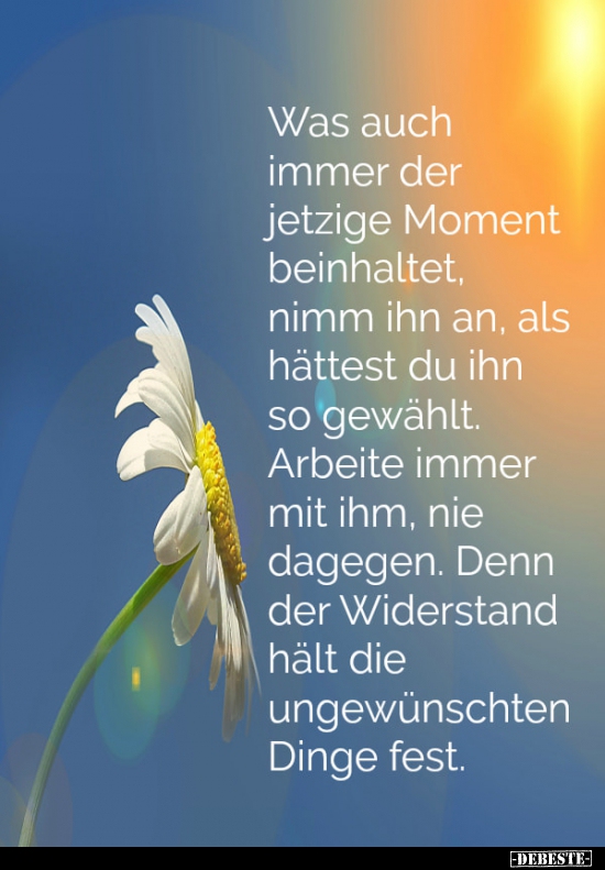 Was auch immer der jetzige Moment beinhaltet, nimm ihn an..