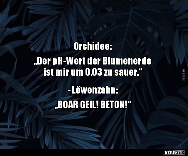 Orchidee: "Der pH-Wert der Blumenerde ist mir um 0,03 zu.." - Lustige Bilder | DEBESTE.de