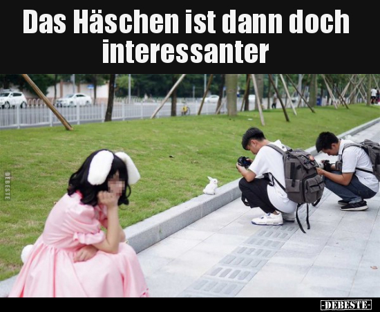 Das Häschen ist dann doch interessanter.. - Lustige Bilder | DEBESTE.de