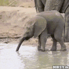  - Lustige Bilder | DEBESTE.de