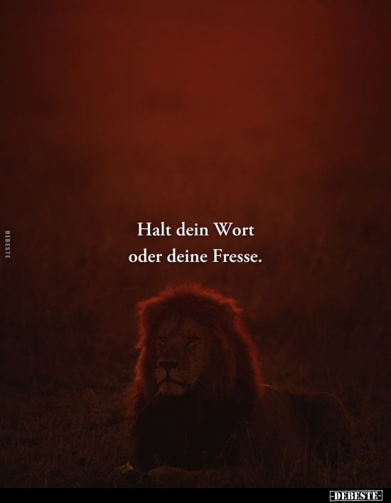 Halt dein Wort oder deine Fresse... - Lustige Bilder | DEBESTE.de